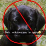 Profile Picture of Bell Pipke (@__bella2014) on Instagram
