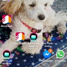 Profile Picture of Claudia Andrea Landaeta Arancibia (@Claudia34381557) on Twitter