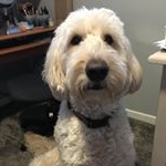 Profile Picture of skeenterry (@skeenterry) on Instagram