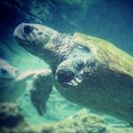 Profile Picture of Michael Telesca (@michaelpfinster) on Instagram