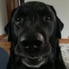 Profile Picture of Jasonhuzina (@jasonhuzina7) on Tiktok