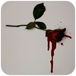 Profile Picture of herbertphillips86 (@herbertphillips86) on Instagram