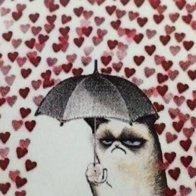 Profile Picture of Amy Perl (@amybperl) on Twitter