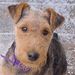 Profile Picture of Carl Hammel (@bg195234) on Pinterest