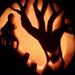 Profile Picture of Scott Saylor (@saltysaylor101) on Pinterest