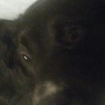 Profile Picture of William Caputo (@billcaputo13) on Instagram