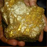 Profile Picture of Theodore Levitt (@ecominers) on Instagram