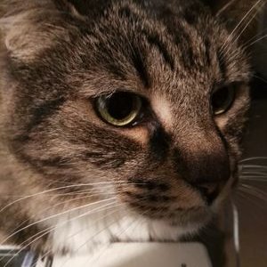 Profile Picture of Andy Shu Zhang (@andycoolzhang) on Twitter