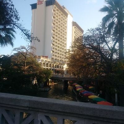 Profile Picture of Alma Yolanda Tovar (@AlmaYolandaTov1) on Twitter