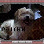 Profile Picture of Valladares Fernandez Guillermo (@guillermo.valladares) on Instagram