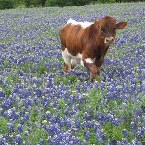 Profile Picture of Darrell Massey (@demassey58) on Myspace