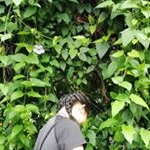 Profile Picture of Joan Michaell Tan (@joanmichaell_) on Instagram