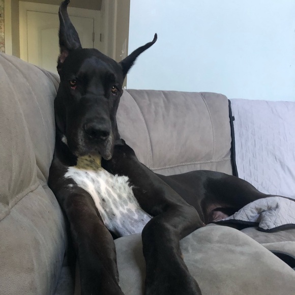 Justin Avanzato - Poshmark Profile Picture of Justin Avanzato (@jtavanzato) on Poshmark