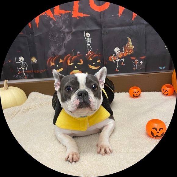 Profile Picture of Dawn Mckay (@froglover1960) on Poshmark