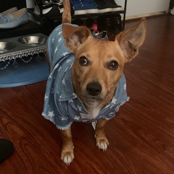 Profile Picture of Chris Chau (@chrischau) on Poshmark