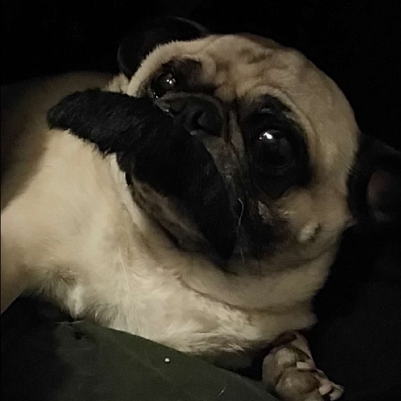 Profile Picture of James Mendez (@sofukingsexy) on Poshmark