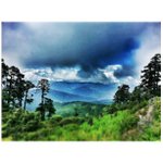 Adam Few - Instagram Profile Picture of Adam Few (@wordherochosen) on Instagram