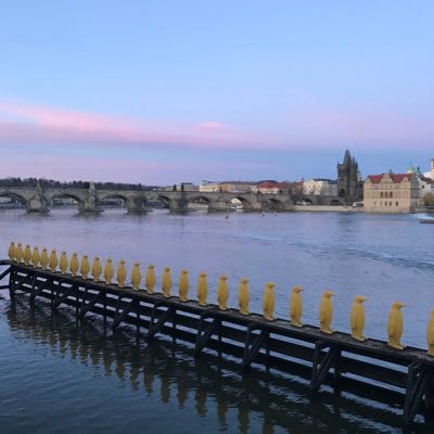 Profile Picture of Marty Duggan (@MartyDuggan) on Twitter