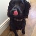 Profile Picture of James Wiseman (@james.wiseman.1800) on Facebook