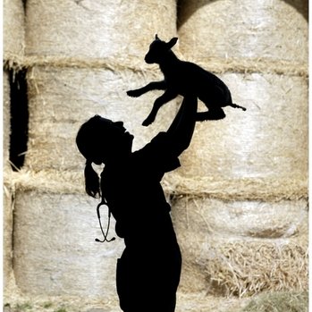 Profile Picture of Edinburgh BVM&S (@EdinburghVets) on Twitter