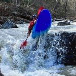Profile Picture of Steve Powers (@fishdoc.powers) on Instagram