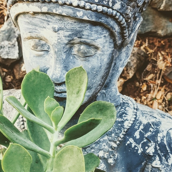 Profile Picture of Kristina Fulton (@kris_wonder) on Poshmark