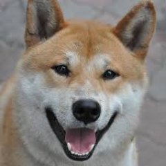 Profile Picture of Jeremy Krauss (@RealJerKrauss) on Twitter