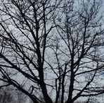 Profile Picture of Hugo Iannuzzi (@hugo.iannuzzi.3) on Facebook