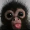 Profile Picture of chris..grimm (@chris..grimm) on Tiktok