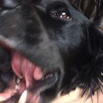 Profile Picture of luce (@_lucy_fryer_) on Instagram