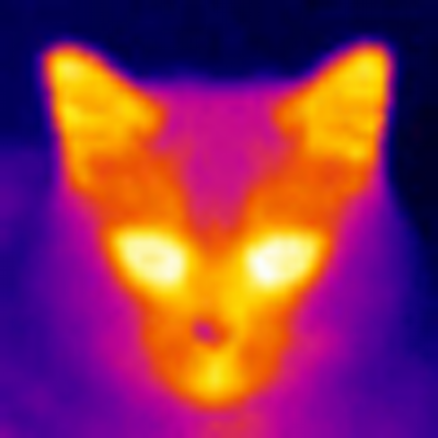 Profile Picture of Darrell Golden (@catsabx) on Twitter