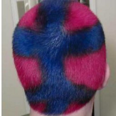 Profile Picture of Chris Rocco (@chrisrocco) on Twitter