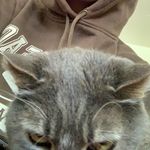 Profile Picture of Robert Schiltz (@roberts_not_funny) on Instagram