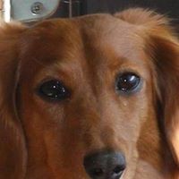 Profile Picture of Donna Hall (@donna-hall-72) on Quora