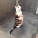 Profile Picture of matthewdoran83 (@matthewdoran83) on Instagram