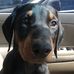 Profile Picture of Gronkowski Gronkowski (Gronkowski) (@gronkowski.gronkowski) on Facebook