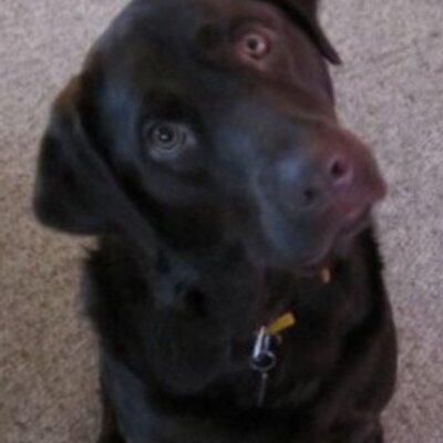 Profile Picture of Tom Hageman (@Tom7Hageman) on Twitter