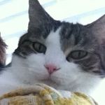 Profile Picture of Miles Neal (@milesneal2go) on Instagram