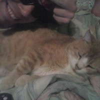 Profile Picture of Steve Rhodes (@steve-rhodes-67) on Quora