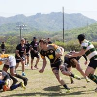 Profile Picture of Toby Mitchell (@toby-mitchell-4) on Quora