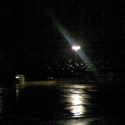 Profile Picture of Matthew Farrer (@FullyNocturnal) on Twitter