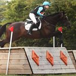 Demi Bradshaw. - Instagram Profile Picture of Demi Bradshaw. (@demlou2014) on Instagram