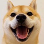 Profile Picture of William-Zheng (@williamzhh) on Instagram