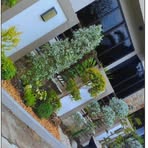 Profile Picture of Jo Garden (@Jo-Garden) on Facebook