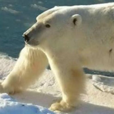 Profile Picture of Miguel Iturralde (@MiguelIturral10) on Twitter