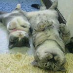 Profile Picture of Daniel Klipstein (@ep_daniel) on Instagram