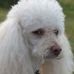 Profile Picture of Ada Hall (@Ada-Hall) on Facebook