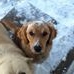 Profile Picture of Albert Fuhrman (@albert.fuhrman.12) on Facebook