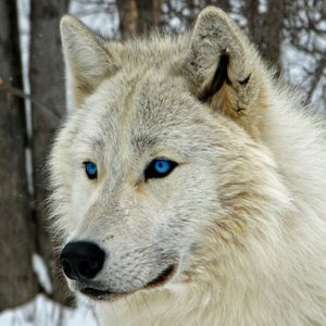 Profile Picture of Kim Poindexter (@poindexterkf) on Myspace