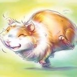 Profile Picture of אבא אוגר הוא חייל (@andresepulvedamym) on Instagram